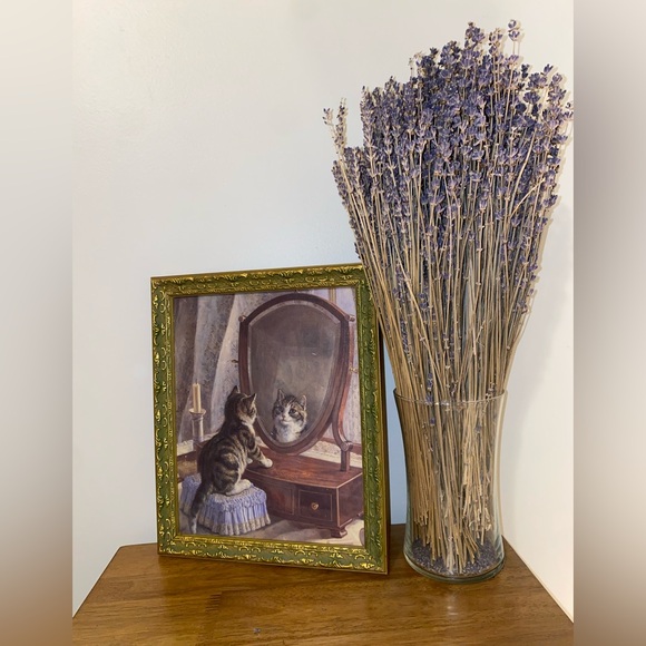 Collectable Frames, "Who's The Fairest of Them All" Cat Picture Frame Home Decor - Picture 3 of 8